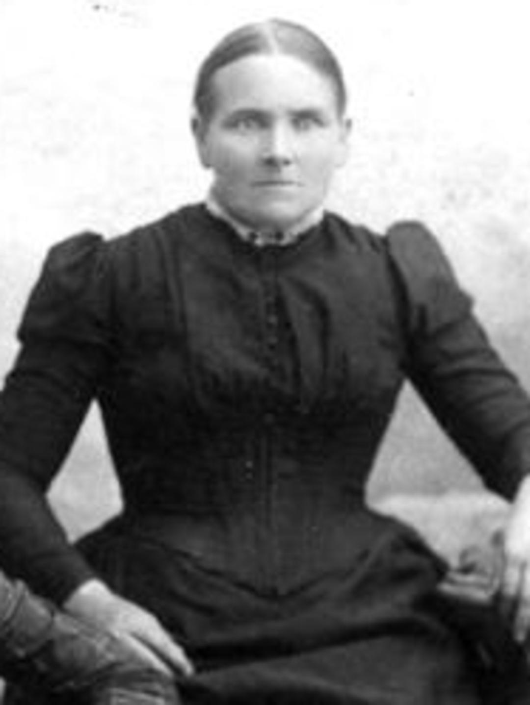 Antoinette Cleveland (1844 - 1919) Profile